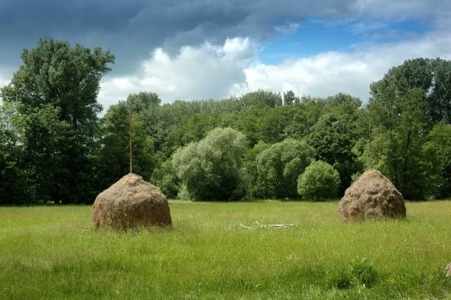 Hotel -All -In -Wellness -Dorf -Arche -Noah -Spreewald / Self -Aktiv -Nature a-Round -Wald -Fluss -Kanäle -Fließe -Flora -Fauna